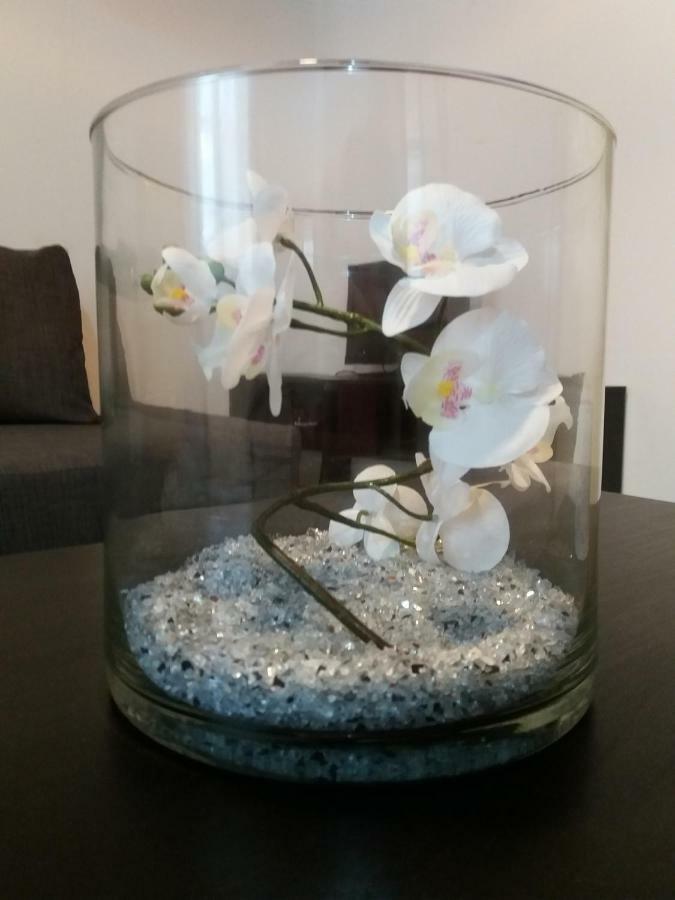 Apartament Radovoli Papigko Zewnętrze zdjęcie
